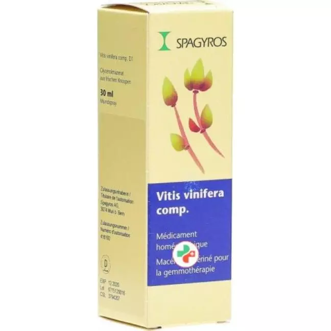 Spagyros Gemmo Komp Vitis Vinif Glyc Maz D 1 30мл Spagyros Gemmo Komp Vitis Vinif Glyc Maz D 1 30мл