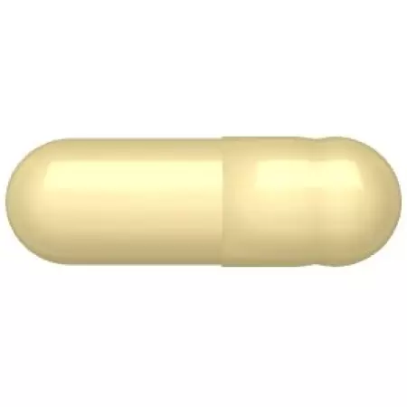 LGA Gelatine Kapseln 1 elfenbein