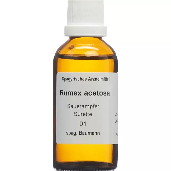 SPAGYROS SPAGYR Rumex acetosa SPAGYROS SPAGYR Rumex acetosa