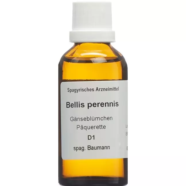 SPAGYROS SPAGYR Bellis perennis SPAGYROS SPAGYR Bellis perennis