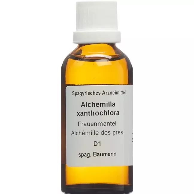 SPAGYROS SPAGYR Alchemilla xanthochlora SPAGYROS SPAGYR Alchemilla xanthochlora