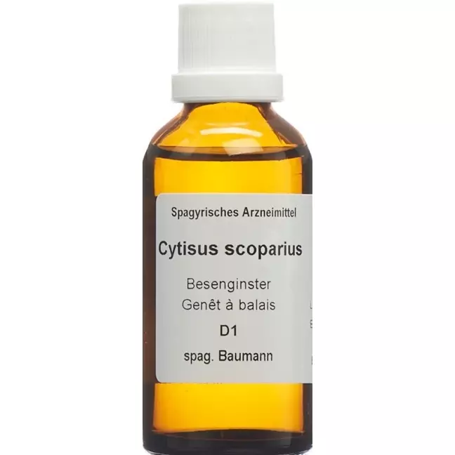 SPAGYROS SPAGYR Cytisus scoparius SPAGYROS SPAGYR Cytisus scoparius