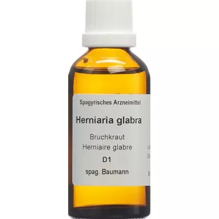 SPAGYROS SPAGYR Herniaria glabra SPAGYROS SPAGYR Herniaria glabra