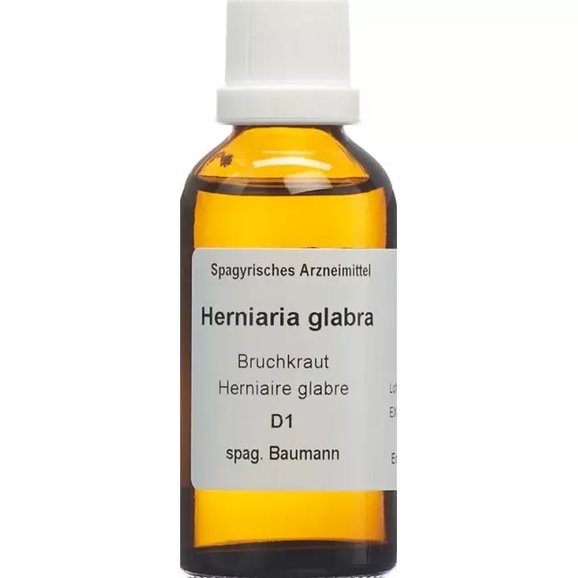SPAGYROS SPAGYR Herniaria glabra SPAGYROS SPAGYR Herniaria glabra