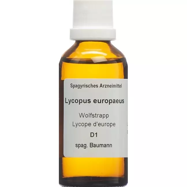 SPAGYROS SPAGYR Lycopus europaeus SPAGYROS SPAGYR Lycopus europaeus