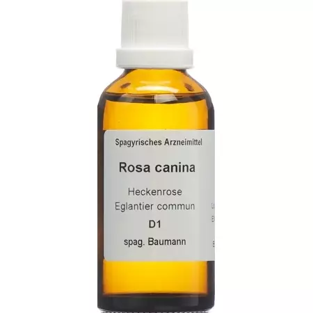 SPAGYROS SPAGYR Rosa canina SPAGYROS SPAGYR Rosa canina