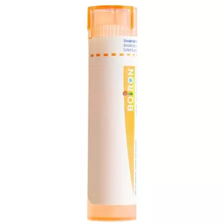 BOIRON Muriaticum acidum Gran CH 15 BOIRON Muriaticum acidum Gran CH 15