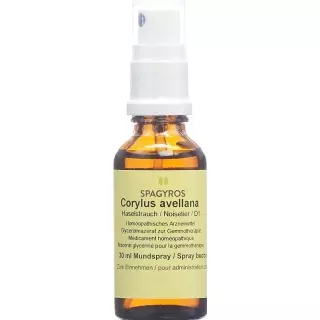 Spagyros Gemmo Corylus avellana Glyc Maz D 1 Spr 30 ml