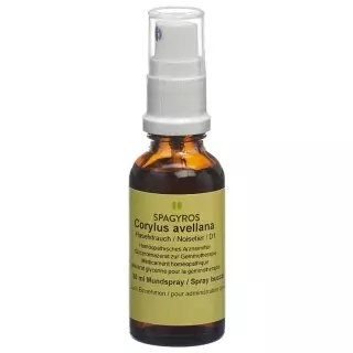 Spagyros Gemmo Corylus avellana Glyc Maz D 1 Spr 30 ml