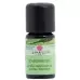 Damascena Schafgarbe Ätherisches Öl Bio 5ml