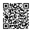 QR BECKMANN FLECKENT STIF TINT