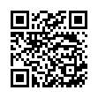 QR Refectocil No. 4 Kastanie