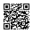 QR Sn Borax в гранулах Ch 9 4г