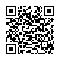 QR DELU KOCHPLATTENPUTZLINGE