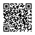 QR HEIDAK TEELI NETZ