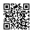 QR Риамет 24 таблетки