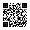 QR VALAFIT SCHUTZSERV 38X70CM