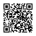 QR WILLI FOX SCHWANGERSCHAFTS