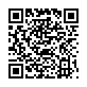 QR STAUDT MANSCHETT CELLU-HOSE 36