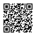 QR STAUDT MANSCHETT CELLU-HOSE 38