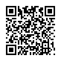 QR PH SEIDE 3X45CM SCHWARZ 0 36 S