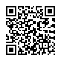 QR STAUDT MANSCHET HANDSCHUH M