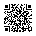 QR STAUDT MANSCHET HANDSCHUH XL