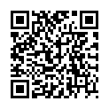 QR SIGV 504 PL SCH HALT KURZ LI S