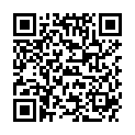 QR SIGV 504 PL SCH HALT KURZ LI M