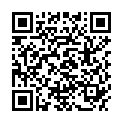 QR Стабильный ортез LumboLoc, размер 2, титан