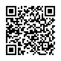 QR BLEDSOE BASIC ERSATZPOLSTE