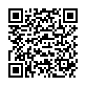 QR SIGV 503 SCHENKEL HALT LA S RE