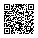 QR SARSTEDT URINBEUTEL 2L 90CM AB