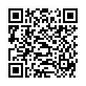 QR SIGV 503 PL HALBS HAFT LANG S