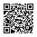 QR SIGV 702 PL HALB HAFT K SILV S