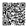 QR BOERLIND SYST ABS TAGESCREME