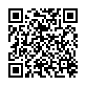 QR INCIDIN PRO FLCHENDESINFEKTION