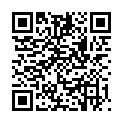 QR VT SOFT AD KKL2 XL P/L GFS CAR