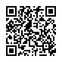 QR SCHAER LEBKUCHEN GLUTENFRE