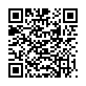 QR WILLI FOX DROGENTEST MULTI