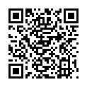 QR STAUDT MANSCHET HANDGELENK L