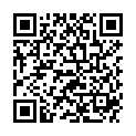 QR BIOK GP NACHTKERZE X-MAS