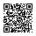 QR MANUFAKTUR NEAMIN B12 DIR +FOL