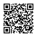 QR PHYTOMED SCH TRITURAT NR17 D12