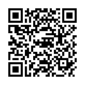 QR SPAGYROS SILYBUM MARIANUM COMP