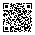 QR WILLI FOX DROGENTEST OPIAT