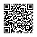 QR AURORA SPAG ZINGIBER OFFICINAL