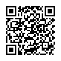 QR AROMALIFE RAEUCHERKOHLE 4CM