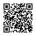 QR AROMAL GESSET DUFTSTEIN WI