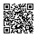 QR BELTER SAMTEA PERFECT RECO